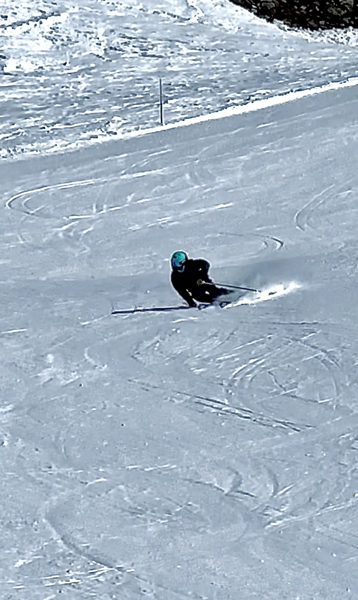 Louis Le Gouzouguec, ski alpin